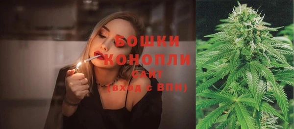 СК Заводоуковск