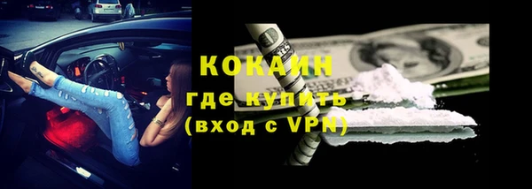 прущие грибы Заволжье