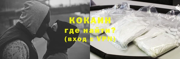прущие грибы Заволжье