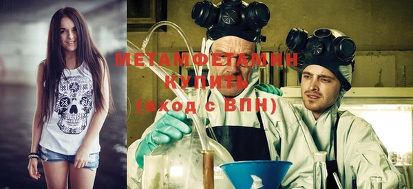 прущие грибы Заволжье