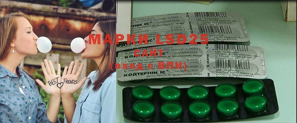 прущие грибы Заволжье