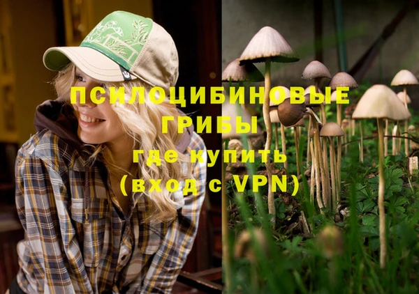 СК Заводоуковск