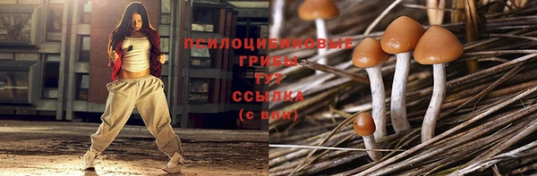 прущие грибы Заволжье