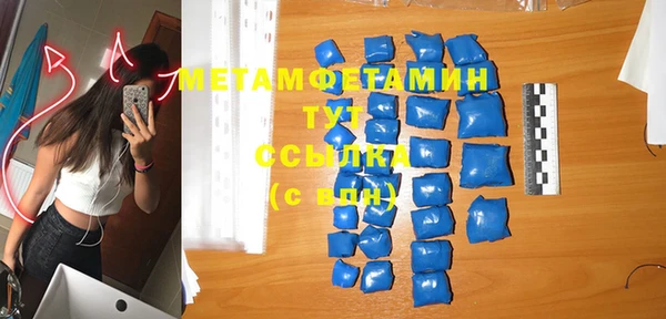прущие грибы Заволжье