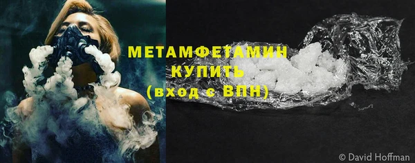 прущие грибы Заволжье