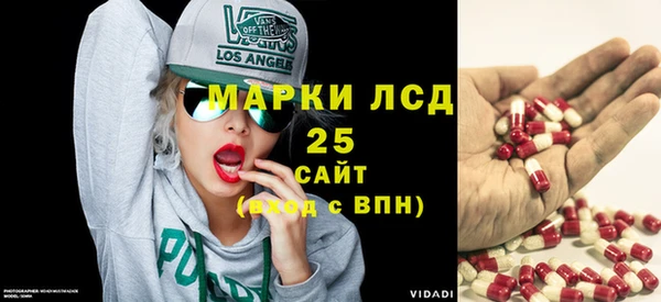прущие грибы Заволжье