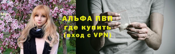 прущие грибы Заволжье