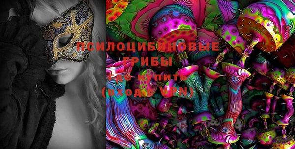 прущие грибы Заволжье