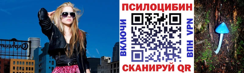Купить  Приморск  Галлюциногенные грибы мицелий 