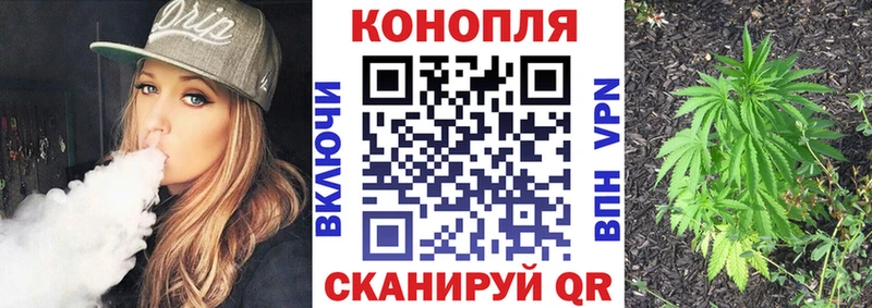 Конопля Amnesia  Купить закладки  Приморск 